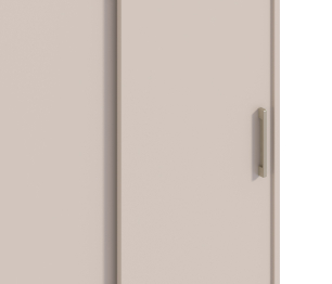 Шкаф-купе 2-х дверный Терра СБ-2545