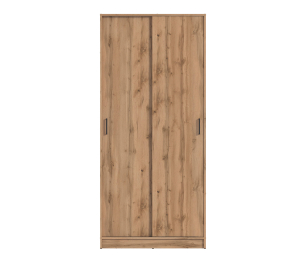 Шкаф-купе 2-х дверный Терра СБ-2545